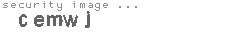 security image
