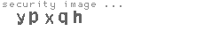 security image
