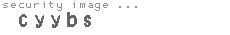 security image