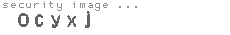 security image