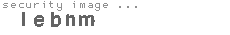 security image