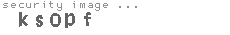 security image