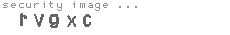 security image