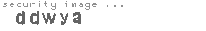 security image