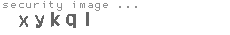 security image
