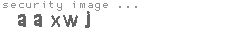 security image
