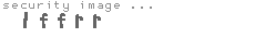security image