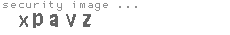 security image