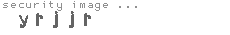 security image