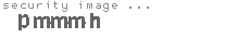 security image