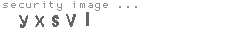 security image