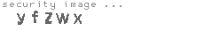 security image
