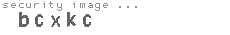 security image