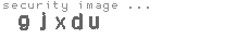 security image
