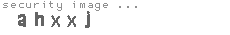 security image