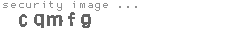 security image