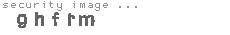 security image