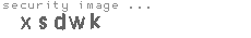 security image