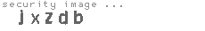 security image