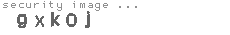 security image