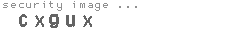 security image