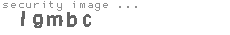 security image