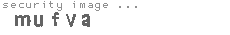 security image