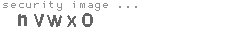 security image
