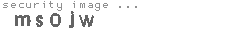 security image