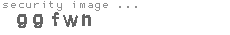 security image