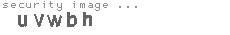 security image