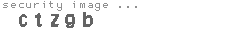 security image