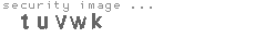 security image