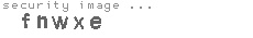 security image