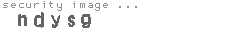 security image