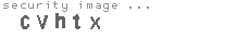 security image