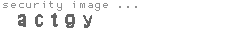 security image