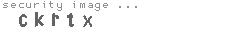 security image