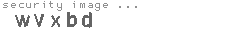 security image