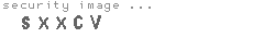 security image