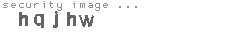 security image