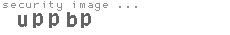security image