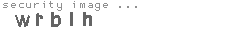 security image