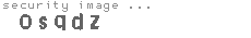 security image