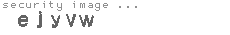 security image
