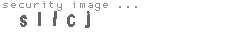 security image