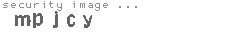 security image