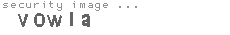 security image