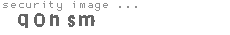 security image