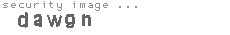security image